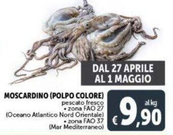 Deco Supermercati MOSCARDINO (POLPO COLORE) pescato fresco offerta