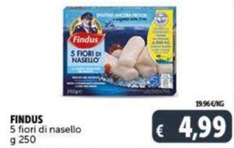 FINDUS 5 fiori di nasello g 250