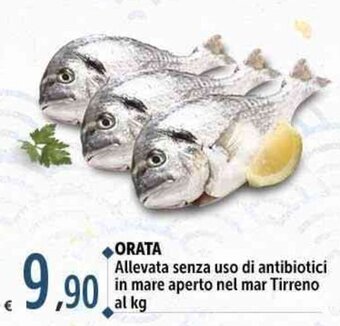 Carrefour Market ORATA offerta
