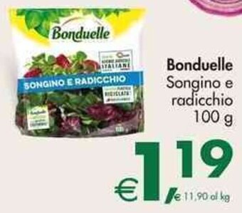 Bonduelle Songino e radicchio 100 g