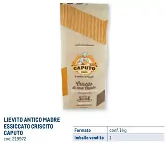 Metro LIEVITO ANTICO MADRE ESSICCATO CRISCITO CAPUTO conf. 1 kg offerta