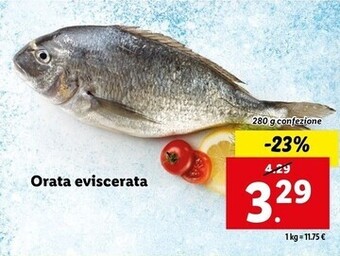Lidl Orata eviscerata offerta