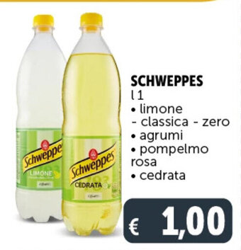 Deco Supermercati Schweppes l 1 offerta