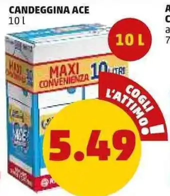 PENNY CANDEGGINA ACE 10 l offerta