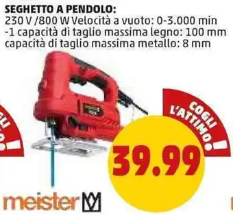 SEGHETTO A PENDOLO: 230V/800W
