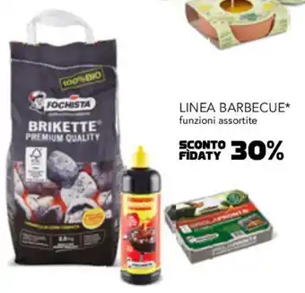 Esselunga LINEA LINEA BARBECUE* funzioni assortite offerta