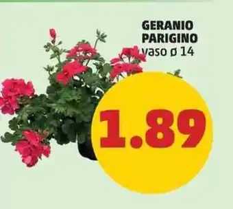 PENNY GERANIO PARIGINO vaso ø GERANIO PARIGINO vaso o 14 4 offerta