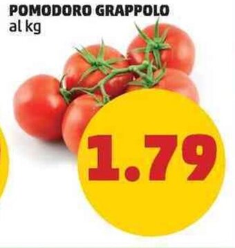 PENNY POMODORO GRAPPOLO offerta