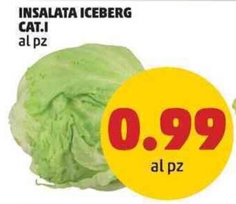 PENNY INSALATA ICEBERG CAT.I offerta