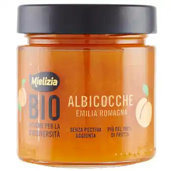 Coop Composta di frutta da filiera bio mielizia offerta