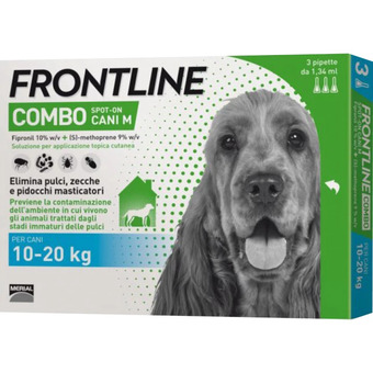 Frontline