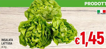A&O INSALATA LATTUGA offerta
