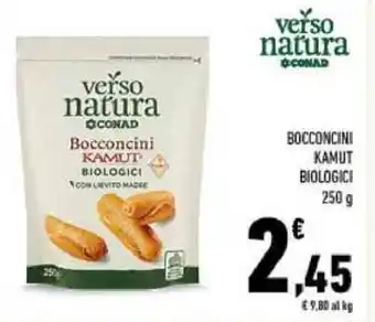 Conad verso natura KAMUT BIOLOGICI 250 g offerta