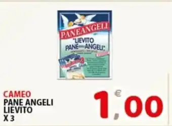 Premium Supermercati CAMEO PANE ANGELI LIEVITO X3 offerta