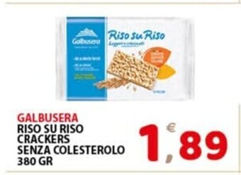 GALBUSERA RISO SU RISO CRACKERS SENZA COLESTEROLO 380 GR