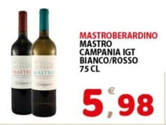 Premium Supermercati MASTROBERARDINO MASTRO CAMPANIA IGT BIANCO/ROSSO 75 CL offerta