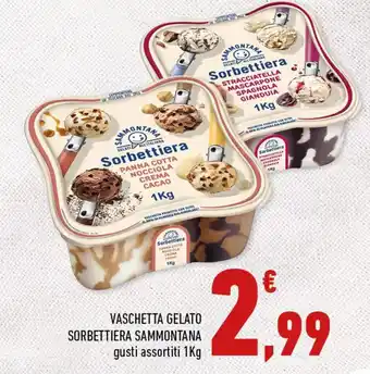 Conad VASCHETTA GELATO SORBETTIERA SAMMONTANA gusti assortiti 1Kg offerta