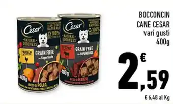 Conad BOCCONCIN CANE CESAR vari gusti 400g offerta
