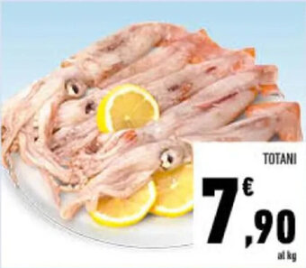 Conad TOTANI offerta