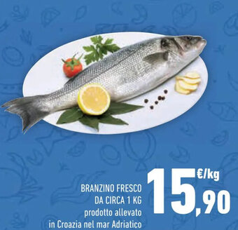 Conad BRANZINO FRESCO DA CIRCA 1 KG offerta