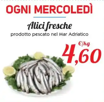 Conad Alici fresche offerta