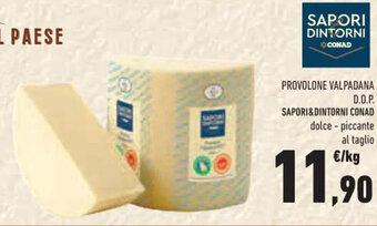 Conad PROVOLONE VALPADANA D.O.P. SAPORI&DINTORNI CONAD offerta