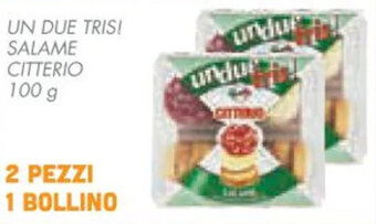 Conad UN DUE TRIS! SALAME CITTERIO 100 g offerta