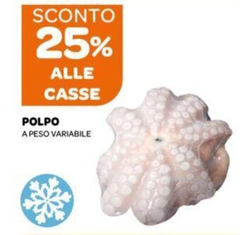 Ekom POLPO A PESO VARIABILE offerta