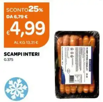 Ekom SCAMPI INTERI G 375 offerta