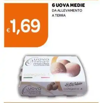 Ekom 6 UOVA MEDIE DA ALLEVAMENTO A TERRA offerta