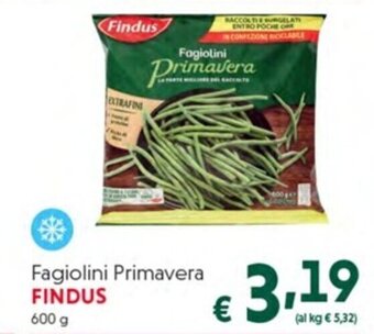 DiMeglio Fagiolini Primavera FINDUS 600 g offerta