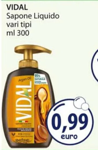 Acqua & Sapone VIDAL Sapone Liquido vari tipi ml 300 offerta