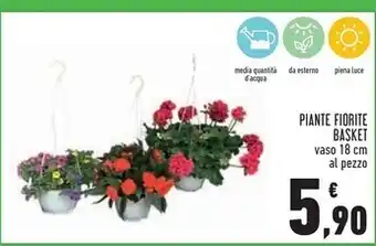 Conad Piante fiorite basket offerta