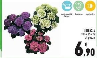 Conad Ortensia offerta