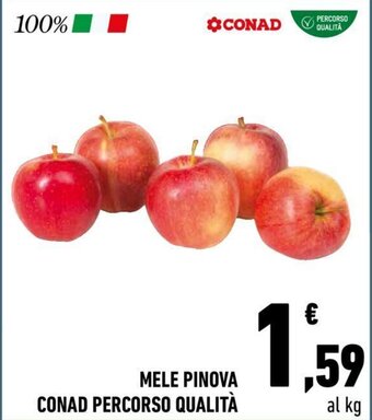 Conad MELE PINOVA CONAD PERCORSO QUALITÀ offerta