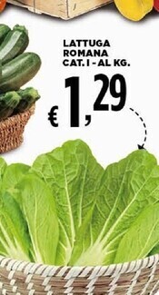 Sigma Lattuga romana offerta