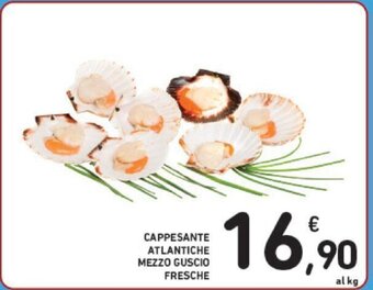 Conad CAPPESANTE ATLANTICHE MEZZO GUSCIO FRESCHE offerta