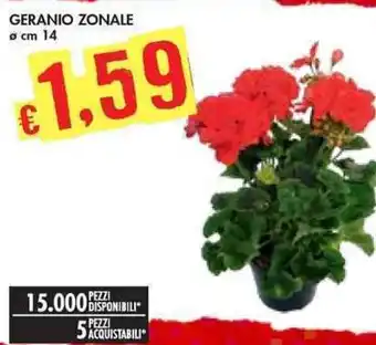 GERANIO ZONALE Ø cm 14