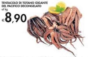 Bennet TENTACOLO DI TOTANO GIGANTE DEL PACIFICO DECONGELATO offerta
