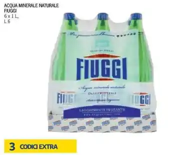 Bennet ACQUA MINERALE NATURALE FIUGGI 6x1L, L6 offerta