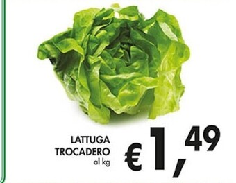 Coal Lattuga trocadero offerta