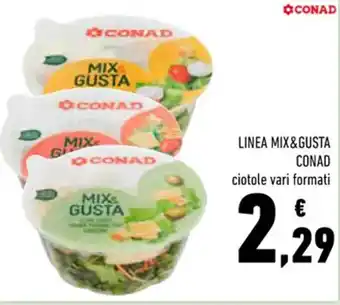 Conad LINEA MIX&GUSTA CONAD offerta