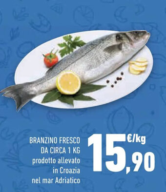 BRANZINO FRESCO DA CIRCA 1 KG