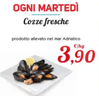 Conad Superstore Cozze fresche offerta