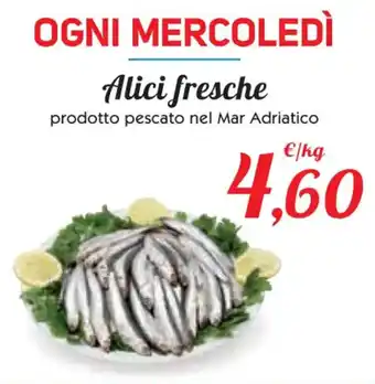 Conad Superstore Alici fresche offerta