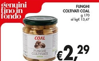 Coal Coal funghi coltivati offerta