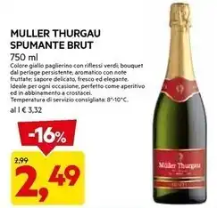 DPiù Brut muller thurgau spumante offerta