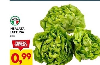 DPiù Insalata lattuga offerta