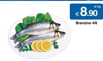 Sì con te Branzino offerta