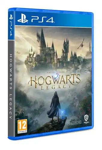 Expert Warner bros hogwarts legacy standard playstation 4 offerta